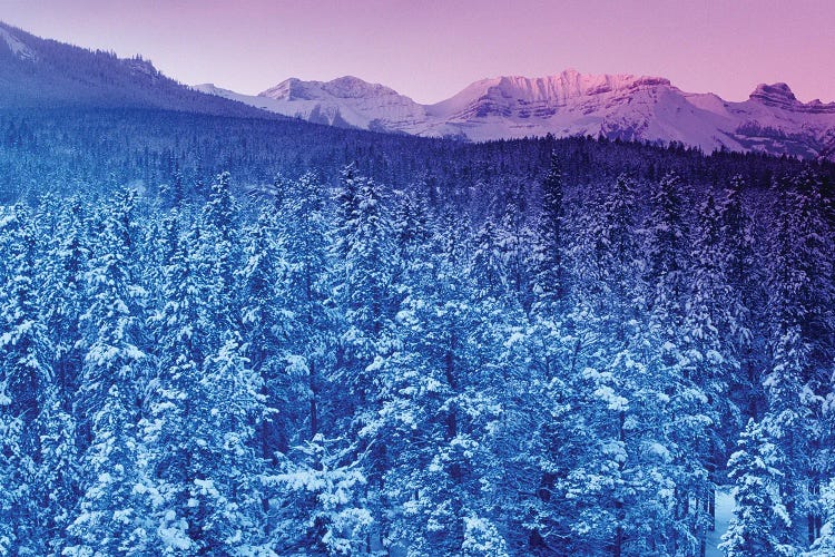 Landscape With Evergreen Forest In Winter And Mountains In Background At Sunset