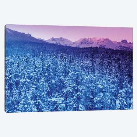 Landscape With Evergreen Forest In Winter And Mountains In Background At Sunset Canvas Print #PIM15971} by Panoramic Images Canvas Art