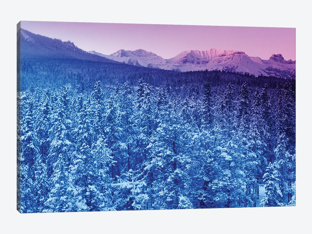 Landscape With Evergreen Forest In Winter And Mountains In Background At Sunset by Panoramic Images 1-piece Canvas Wall Art