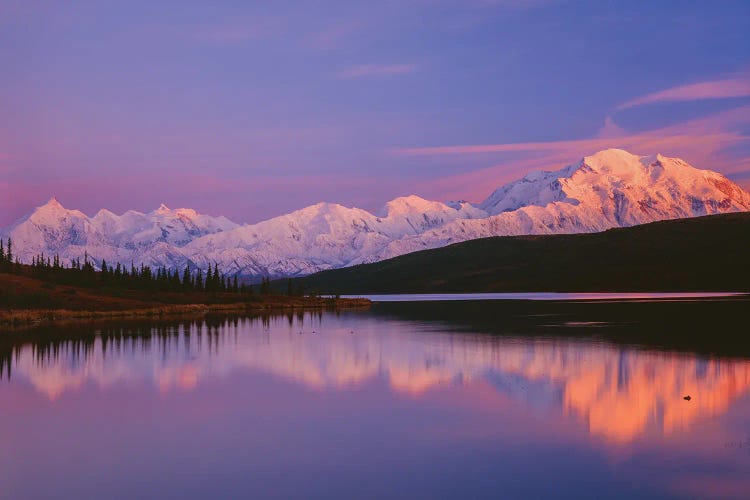 Landscape With Lake And Snowcapped Denali Mountain At Sunset, Denali National Park, Alaska, USA