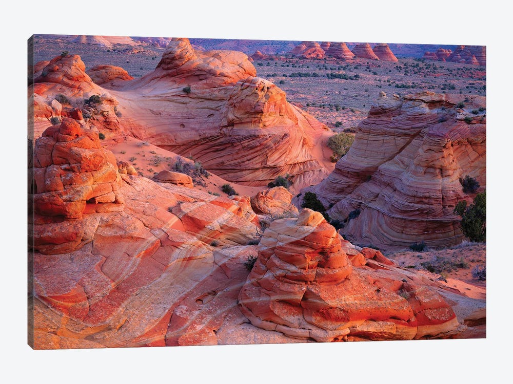 Landscape With Rock Formations In Desert, Vermilion C - Canvas Artwork