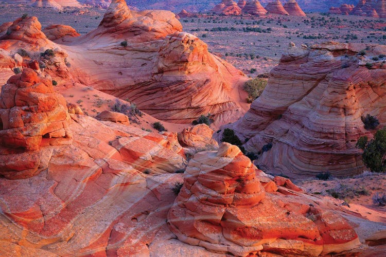 Landscape With Rock Formations In Desert, Vermilion Cliffs Wilderness Area, Arizona, USA