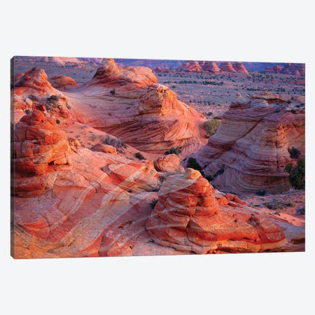 Landscape With Rock Formations In Desert, Vermilion Cliffs Wilderness Area, Arizona, USA Canvas Print #PIM15982} by Panoramic Images Canvas Art Print