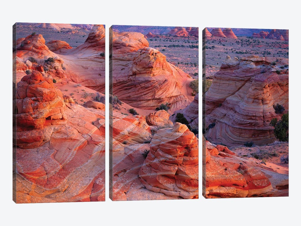 Landscape With Rock Formations In Desert, Vermilion Cliffs Wilderness Area, Arizona, USA by Panoramic Images 3-piece Canvas Wall Art