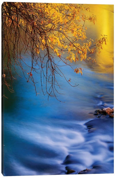 Landscape With Virgin River In Autumn, Zion National Park, Utah, USA Canvas Art Print - Zion National Park Art