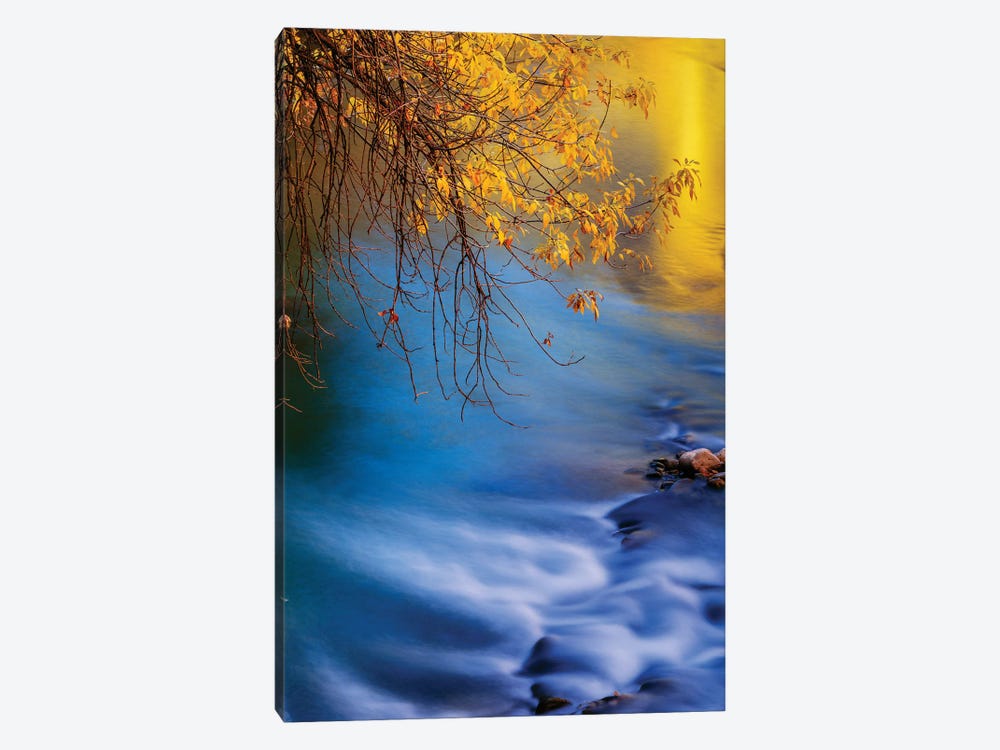 Landscape With Virgin River In Autumn, Zion National Park, Utah, USA by Panoramic Images 1-piece Canvas Artwork