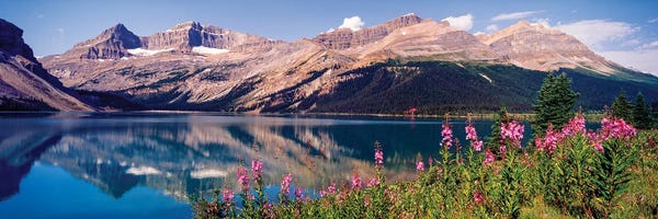 Alberta: Reflection Of Mountain In A Lake, Bow Lake, Mt. Jimmy Simpson, Alberta, Canada by Panoramic Images