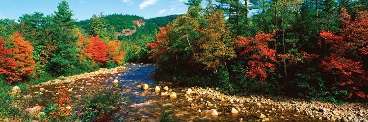 River Flowing Through A Forest, Swift River, White Mountain National Forest, Carroll County, New Hampshire, USA