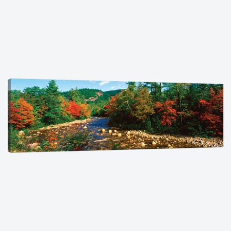 River Flowing Through A Forest, Swift River, White Mountain National Forest, Carroll County, New Hampshire, USA Canvas Print #PIM16016} by Panoramic Images Canvas Art