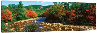 River Flowing Through A Forest, Swift River, White Mountain National Forest, Carroll County, New Hampshire, USA Canvas Art Print - New Hampshire