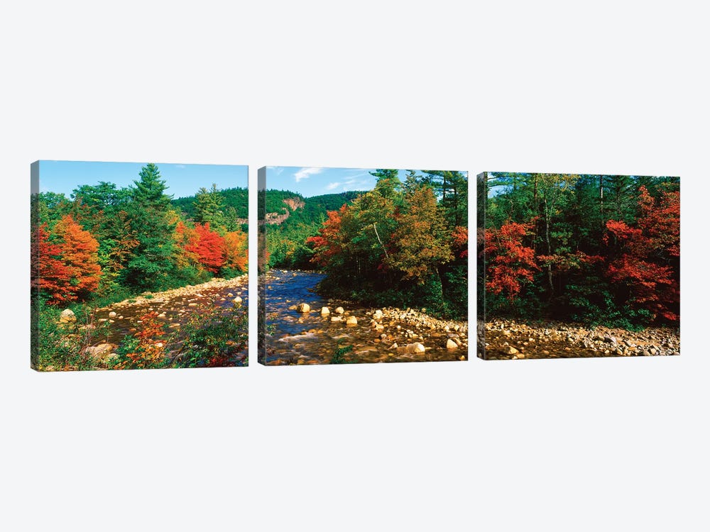 River Flowing Through A Forest, Swift River, White Mountain National Forest, Carroll County, New Hampshire, USA by Panoramic Images 3-piece Art Print