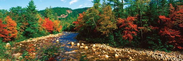 New Hampshire: River Flowing Through A Forest, Swift River, White Mountain National Forest, Carroll County, New Hampshire, USA by Panoramic Images