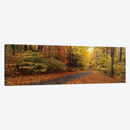 Road Passing Through Autumn Forest, Chestnut Ridge County Park, Orchard Park, Erie County, New York, USA Canvas Print #PIM16017} by Panoramic Images Canvas Wall Art