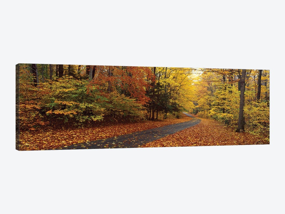 Road Passing Through Autumn Forest, Chestnut Ridge County Park, Orchard Park, Erie County, New York, USA by Panoramic Images 1-piece Canvas Art