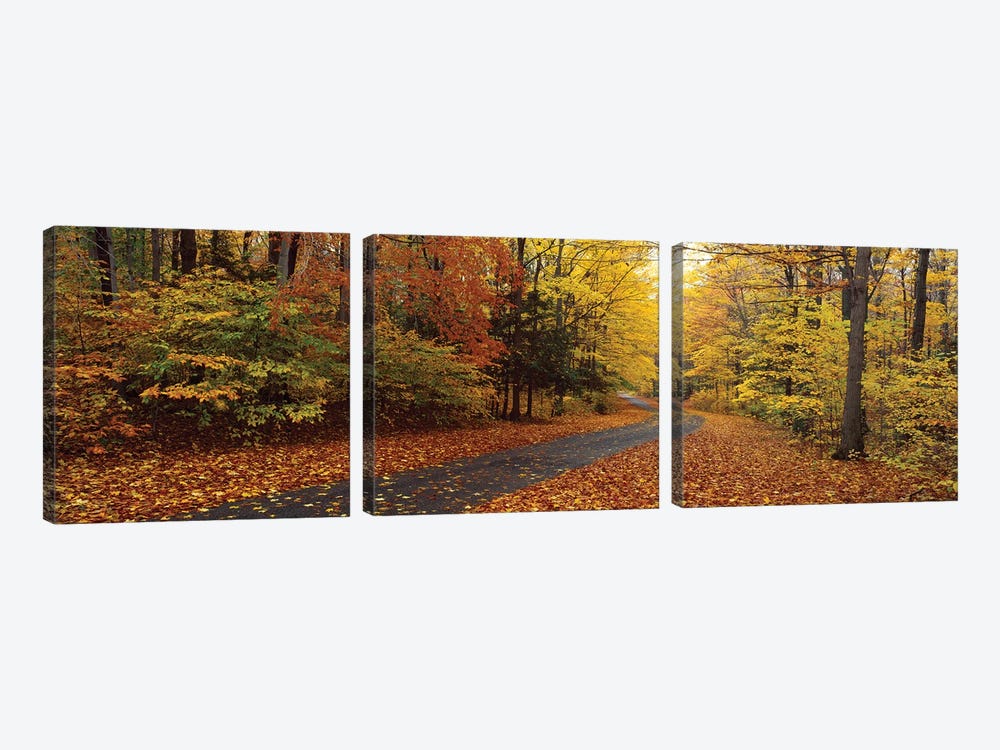 Road Passing Through Autumn Forest, Chestnut Ridge County Park, Orchard Park, Erie County, New York, USA by Panoramic Images 3-piece Canvas Artwork