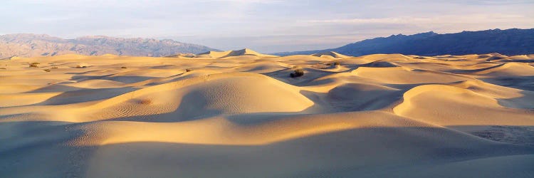 Sand Dunes With Mountains In The Background, Mesquite Flat Dunes, Death Valley National Park, California, USA