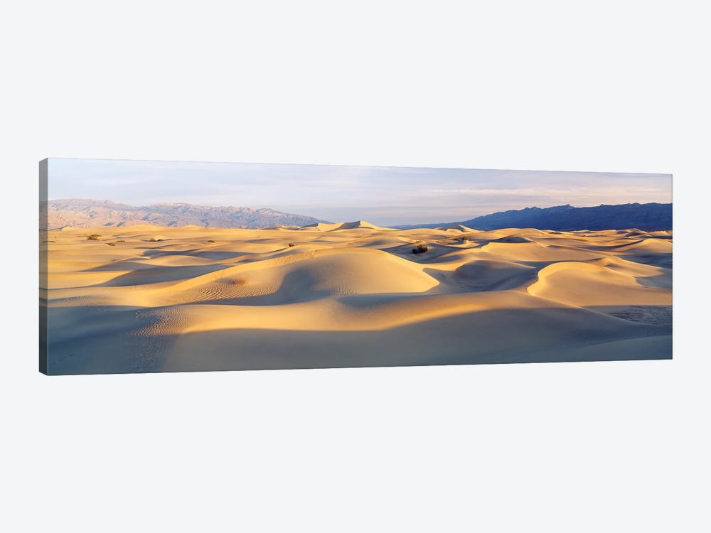Sand Dunes With Mountains In The Background, Mesquite Flat Dunes, Death Valley National Park, California, USA by Panoramic Images 1-piece Canvas Art