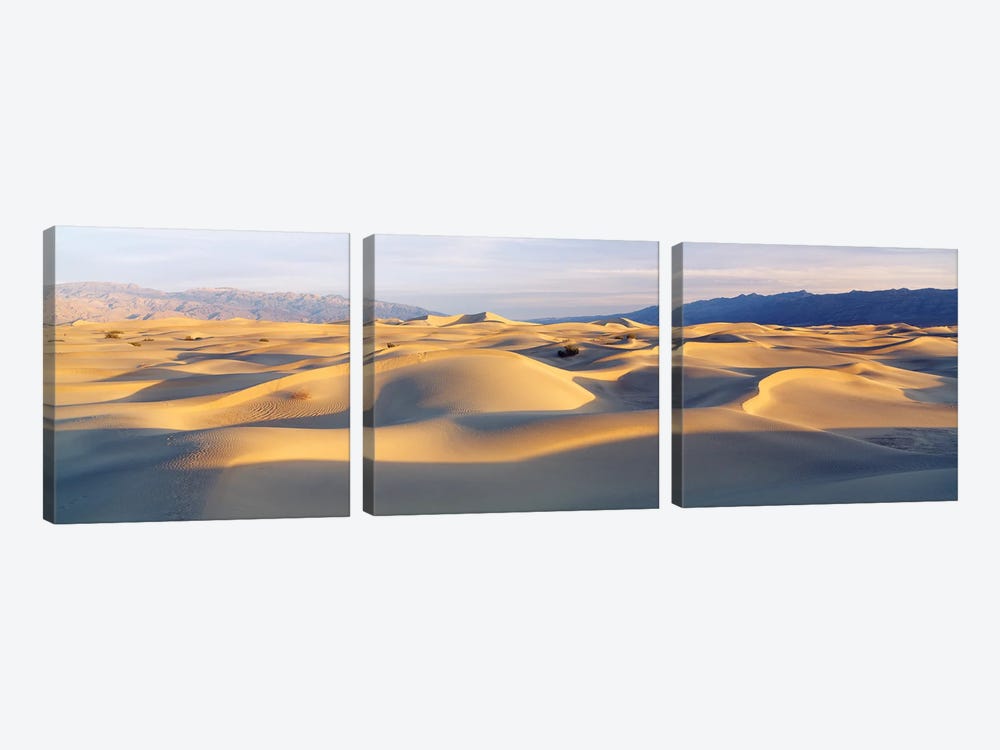 Sand Dunes With Mountains In The Background, Mesquite Flat Dunes, Death Valley National Park, California, USA by Panoramic Images 3-piece Canvas Wall Art