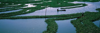 Seaweed Cultivation In A Fish Farm, Phnom Penh, Cambodia by Panoramic Images framed canvas print