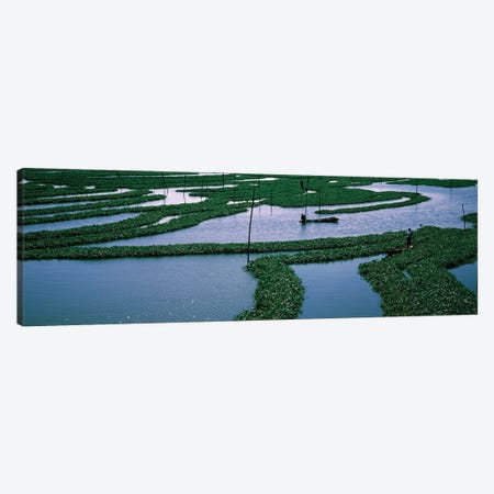 Seaweed Cultivation In A Fish Farm, Phnom Penh, Cambodia Canvas Print #PIM16024} by Panoramic Images Art Print