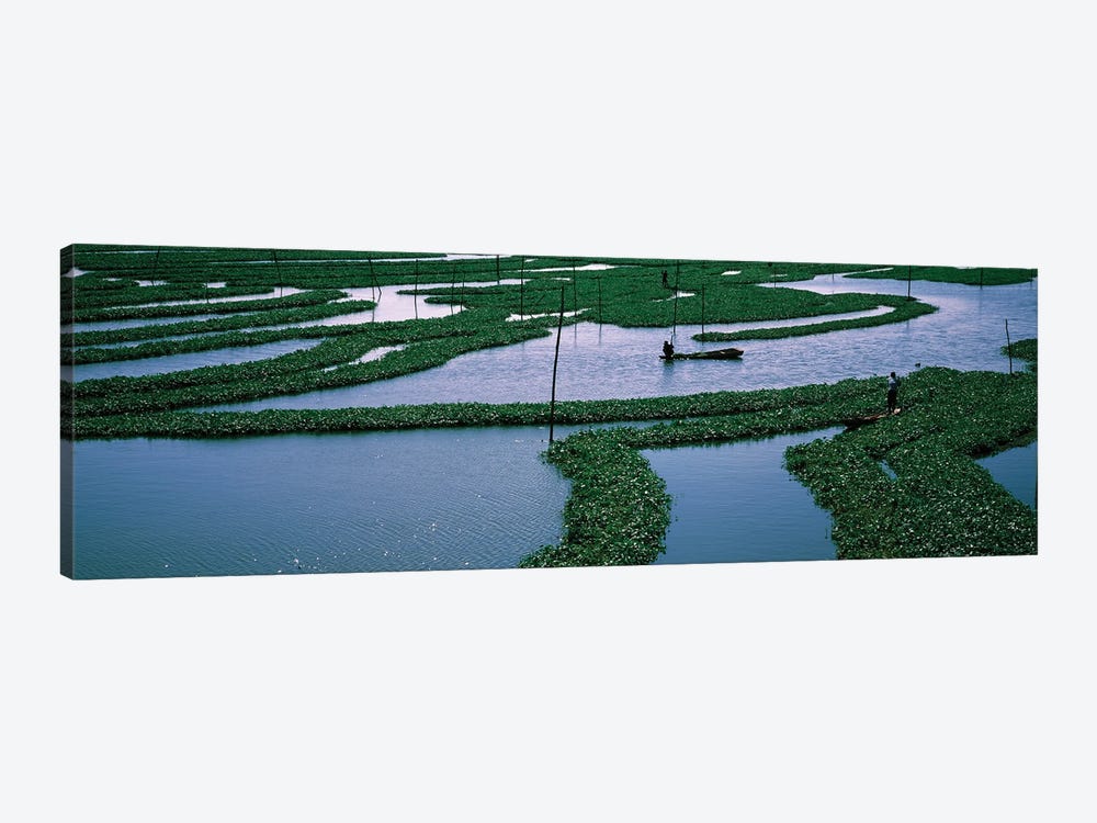 Seaweed Cultivation In A Fish Farm, Phnom Penh, Cambodia by Panoramic Images 1-piece Canvas Artwork