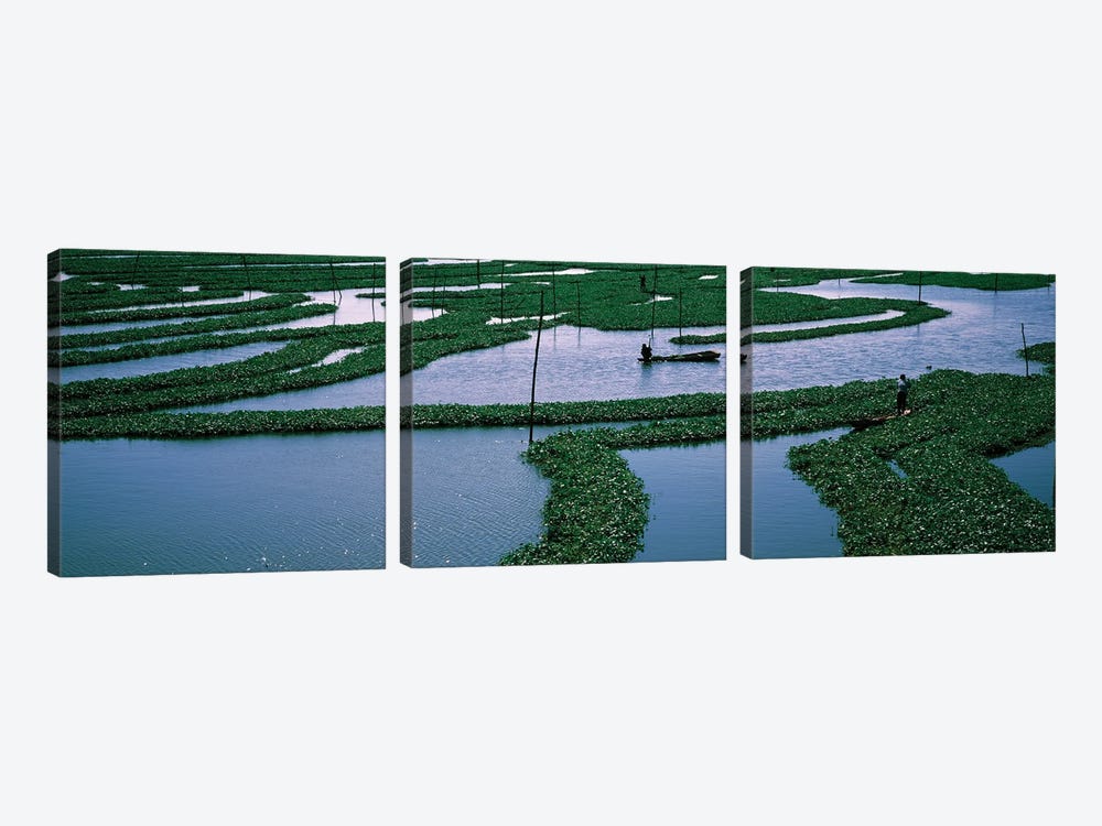 Seaweed Cultivation In A Fish Farm, Phnom Penh, Cambodia by Panoramic Images 3-piece Canvas Artwork
