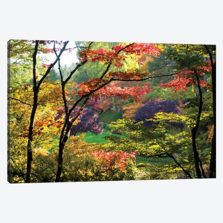 Trees In A Garden, Butchart Gardens, Victoria, Vancouver Island, British Columbia, Canada Canvas Print #PIM16045} by Panoramic Images Art Print