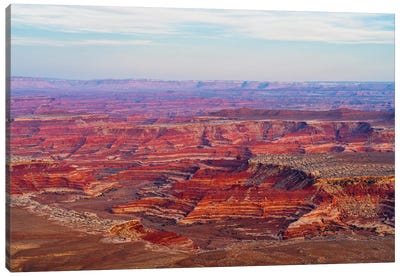 View Of Canyon From Panorama Point, Maze District Of Canyonlands National Park, Wayne County, Utah, USA Canvas Art Print - Canyon Art