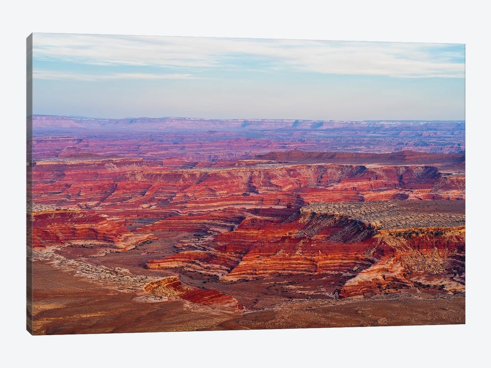View Of Canyon From Panorama Point, Maze District Of Canyonlands National Park, Wayne County, Utah, USA by Panoramic Images 1-piece Art Print
