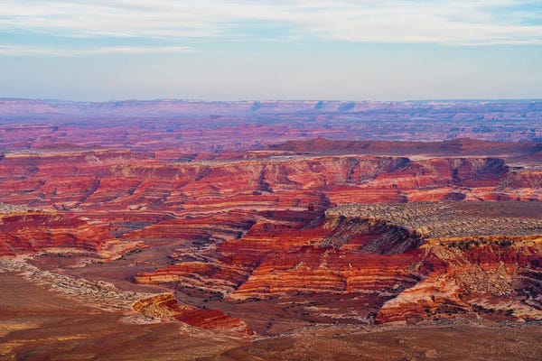 Utah: View Of Canyon From Panorama Point, Maze District Of Canyonlands National Park, Wayne County, Utah, USA by Panoramic Images