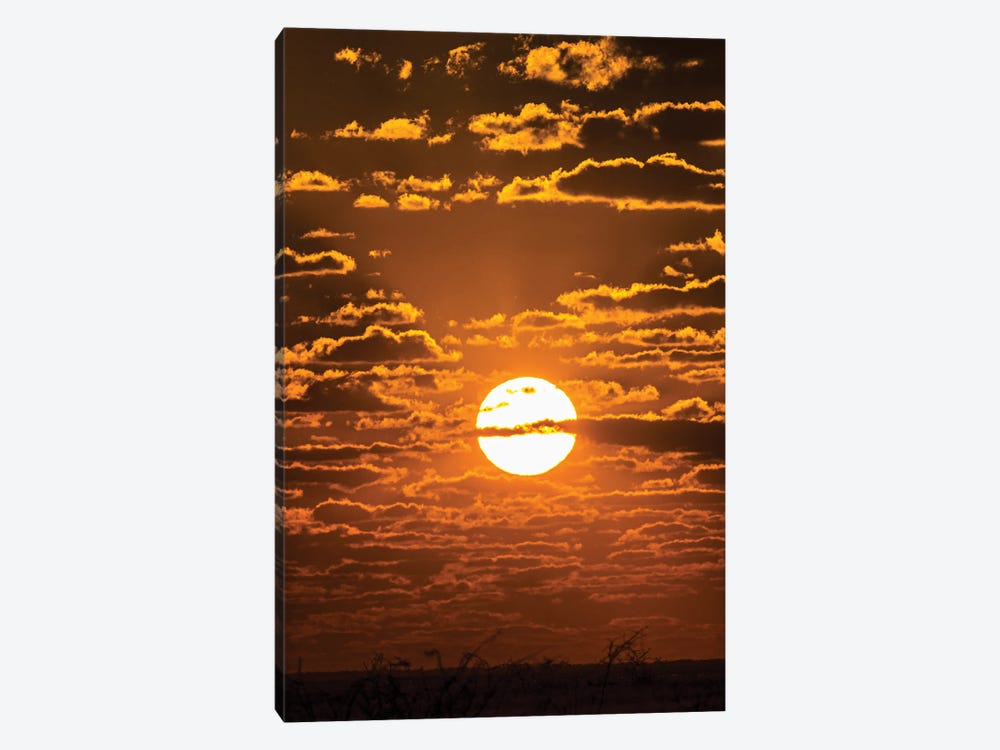 View Of Sunset Over Etosha National Park, Namibia, Africa by Panoramic Images 1-piece Canvas Art Print