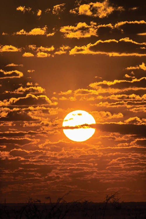 View Of Sunset Over Etosha National Park, Namibia, Africa