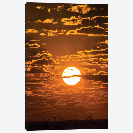 View Of Sunset Over Etosha National Park, Namibia, Africa Canvas Print #PIM16070} by Panoramic Images Canvas Art Print