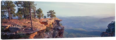 Landscape With Trees On Cliffs, General George Crook Trail, Apache Sitgreaves National Forest, Arizona, USA Canvas Art Print - Cliff Art