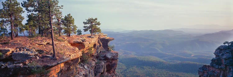 Landscape With Trees On Cliffs, General George Crook Trail, Apache Sitgreaves National Forest, Arizona, USA