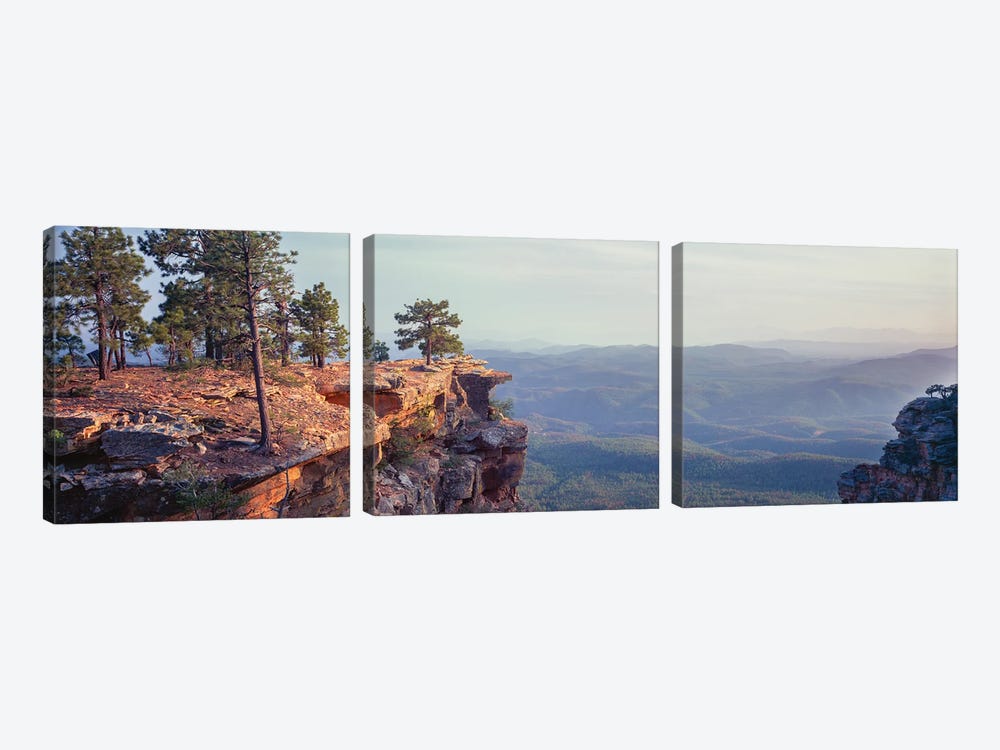 Landscape With Trees On Cliffs, General George Crook Trail, Apache Sitgreaves National Forest, Arizona, USA by Panoramic Images 3-piece Canvas Art Print