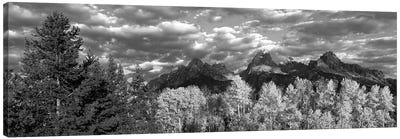 Aspen Grove With Mountain Range In The Background, Teton Range, Grand Teton National Park, Wyoming, USA Canvas Art Print - Aspen Tree Art