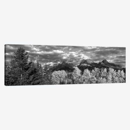 Aspen Grove With Mountain Range In The Background, Teton Range, Grand Teton National Park, Wyoming, USA Canvas Print #PIM16113} by Panoramic Images Canvas Wall Art