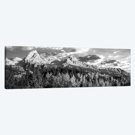 Autumn Trees In A Forest, Taggart Lake, Grand Teton National Park, Wyoming, USA Canvas Print #PIM16115} by Panoramic Images Art Print