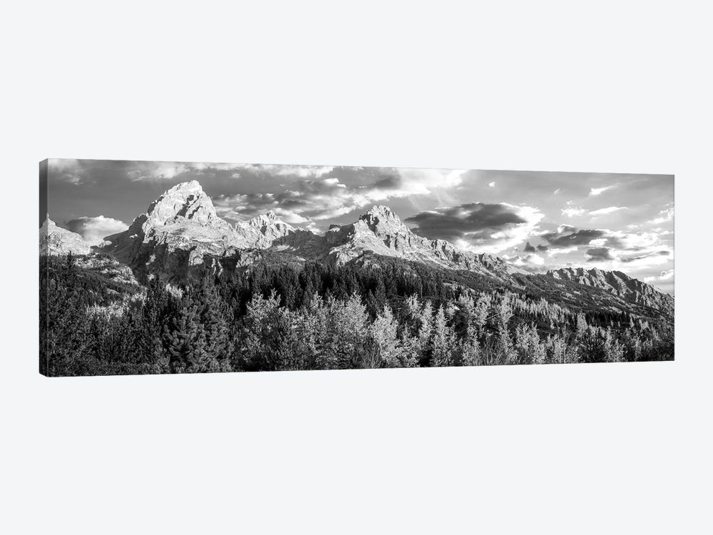 Autumn Trees In A Forest, Taggart Lake, Grand Teton National Park, Wyoming, USA by Panoramic Images 1-piece Canvas Print