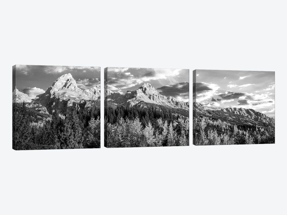 Autumn Trees In A Forest, Taggart Lake, Grand Teton National Park, Wyoming, USA by Panoramic Images 3-piece Canvas Art Print
