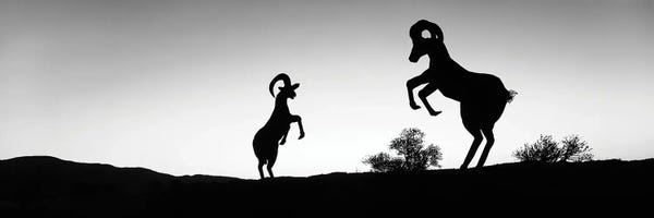 Rams: Desert Bighorn Ram Metal Sculptures, Galleta Meadows Estate, Borrego Springs, California, USA by Panoramic Images
