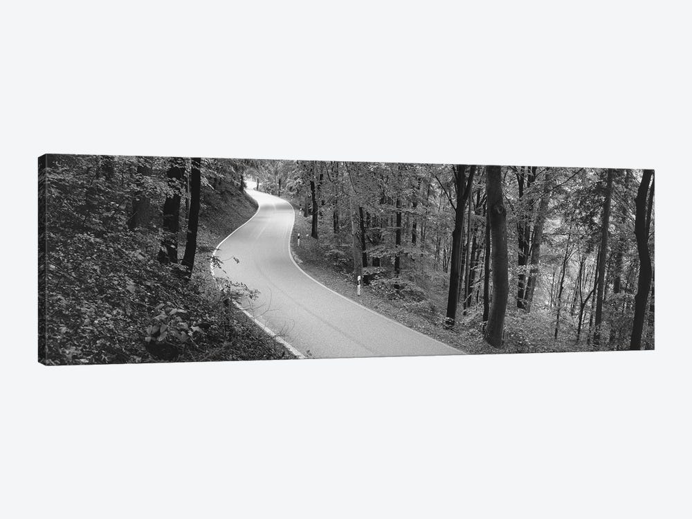 Empty Road Running Through A forest, Stuttgart, Baden-Wurttemberg, Germany by Panoramic Images 1-piece Canvas Print