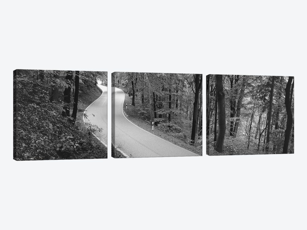 Empty Road Running Through A forest, Stuttgart, Baden-Wurttemberg, Germany by Panoramic Images 3-piece Canvas Print