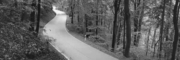 Stuttgart: Empty Road Running Through A forest, Stuttgart, Baden-Wurttemberg, Germany by Panoramic Images