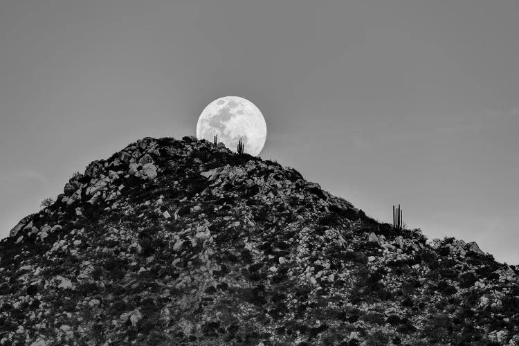 Full Moon Behind Hill In Desert At Sunset, Los Frailes, Baja California Sur, Mexico