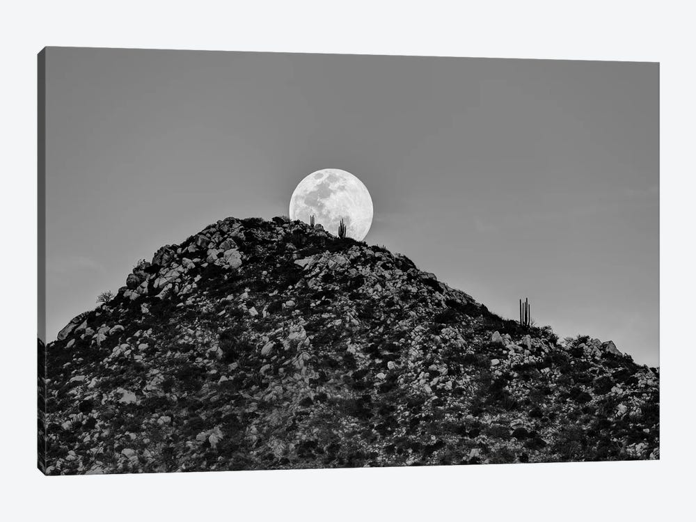 Full Moon Behind Hill In Desert At Sunset, Los Frailes, Baja California Sur, Mexico by Panoramic Images 1-piece Canvas Art