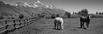 Horses And Teton Range Grand Teton National Park WY by Panoramic Images multi panel art