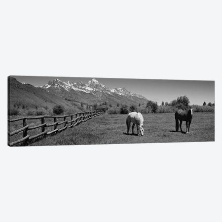 Horses And Teton Range Grand Teton National Park WY Canvas Print #PIM16179} by Panoramic Images Canvas Art