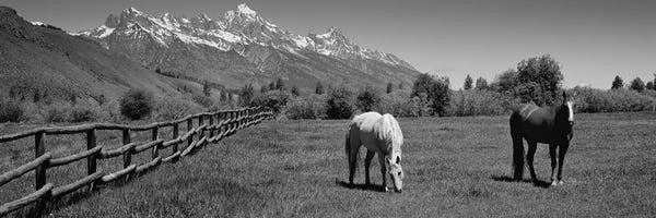 Teton Range: Horses And Teton Range Grand Teton National Park WY by Panoramic Images